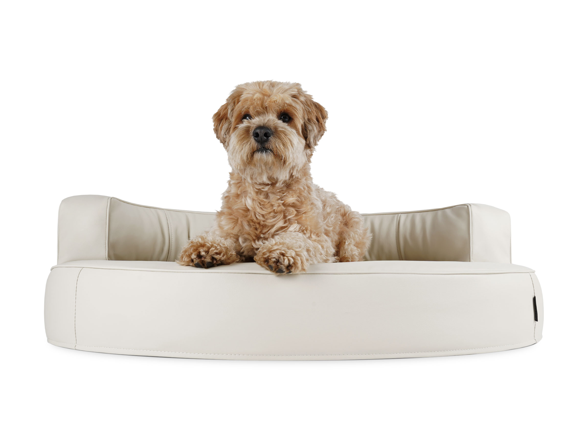 mypado Atlanta Faux Leather Dog Bed
