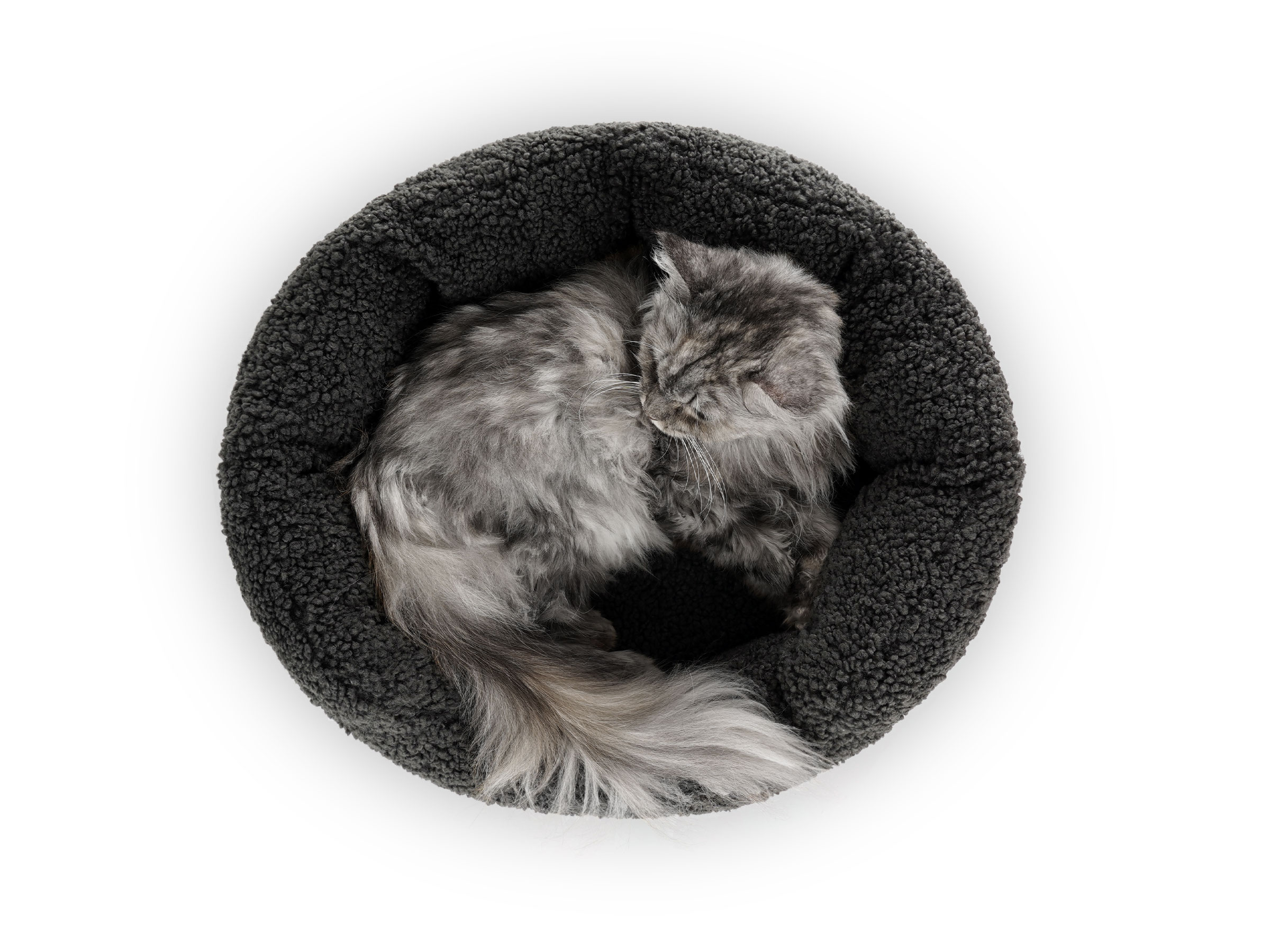 mypado Camino Woolly Cat Bed