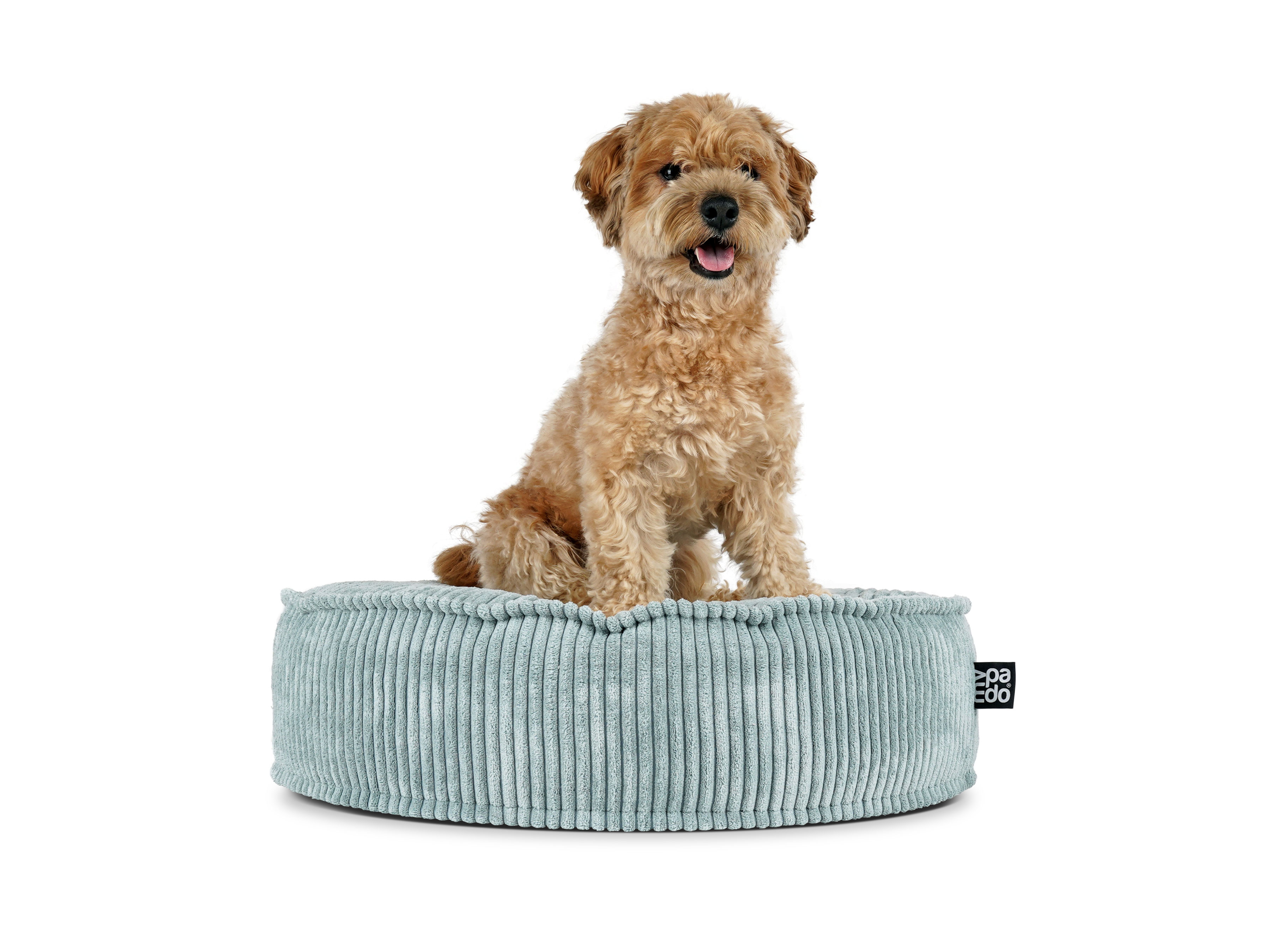 mypado Mio Cord Hundekissen