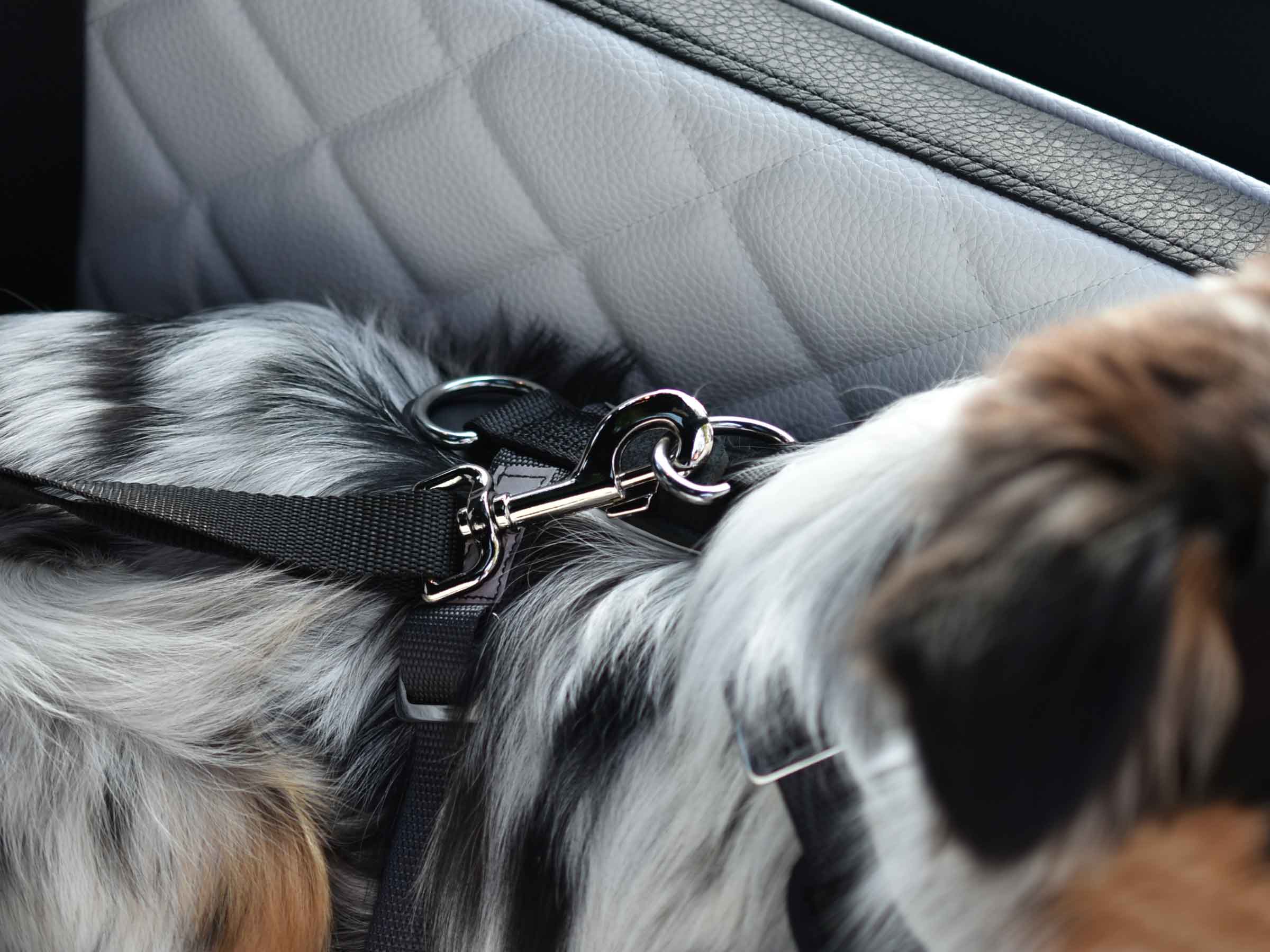 TRAVELMAT® RS Safety Harness