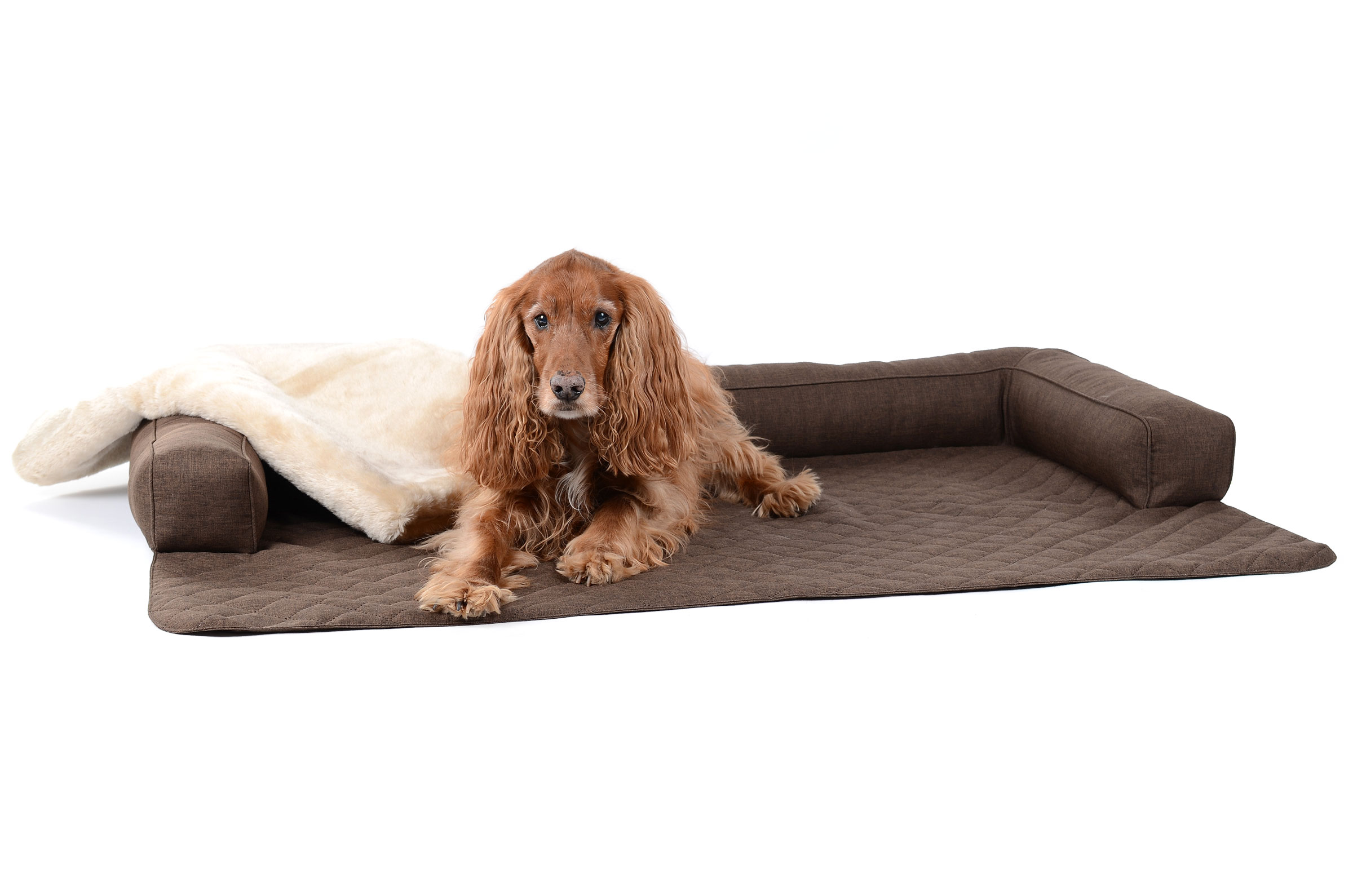 mypado Dakota Soft Dog Blanket