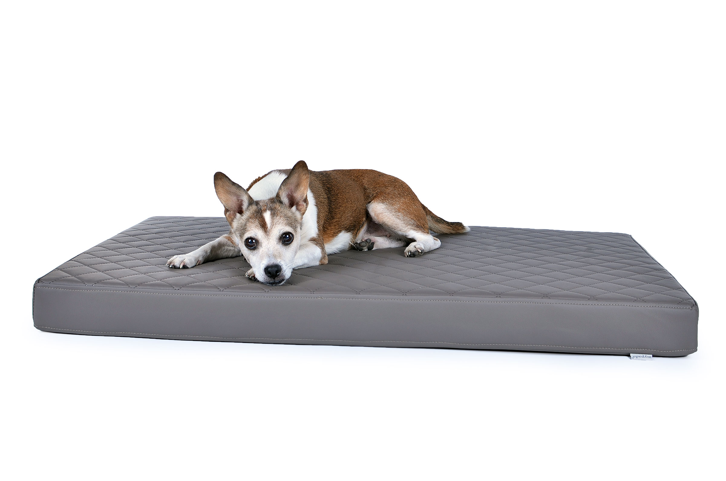 mypado Nuvola Faux Leather Quilted Dog Mat