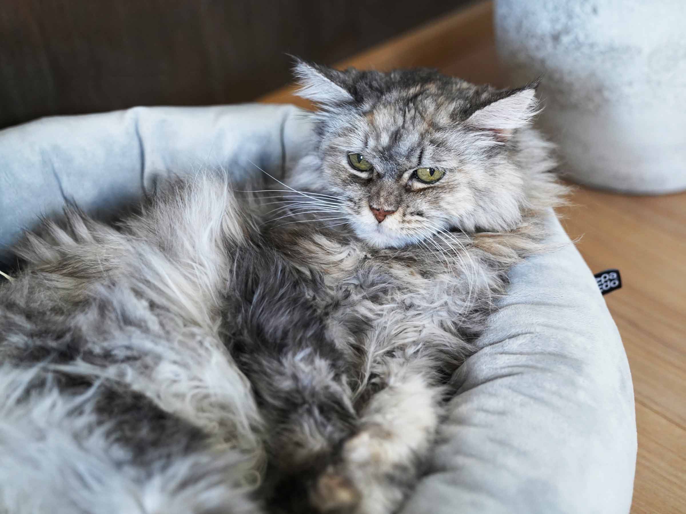 mypado Loop Plushblended Cat Bed