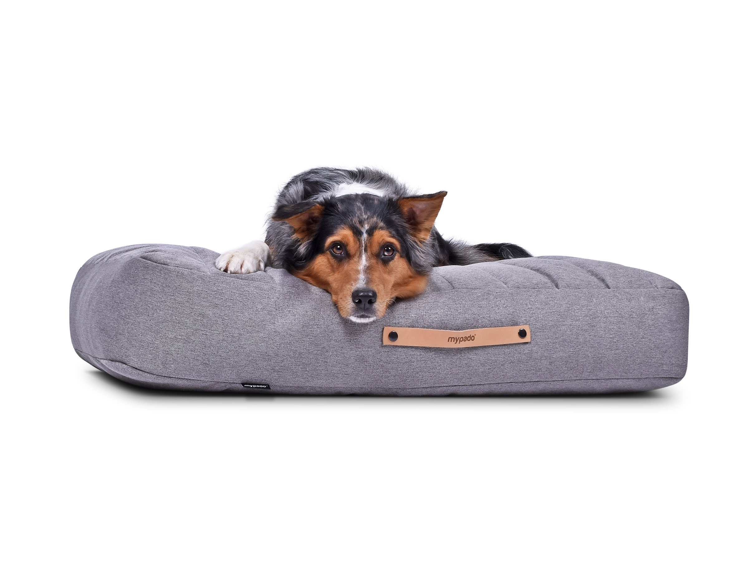 mypado Stockholm Mono Dog Cushion
