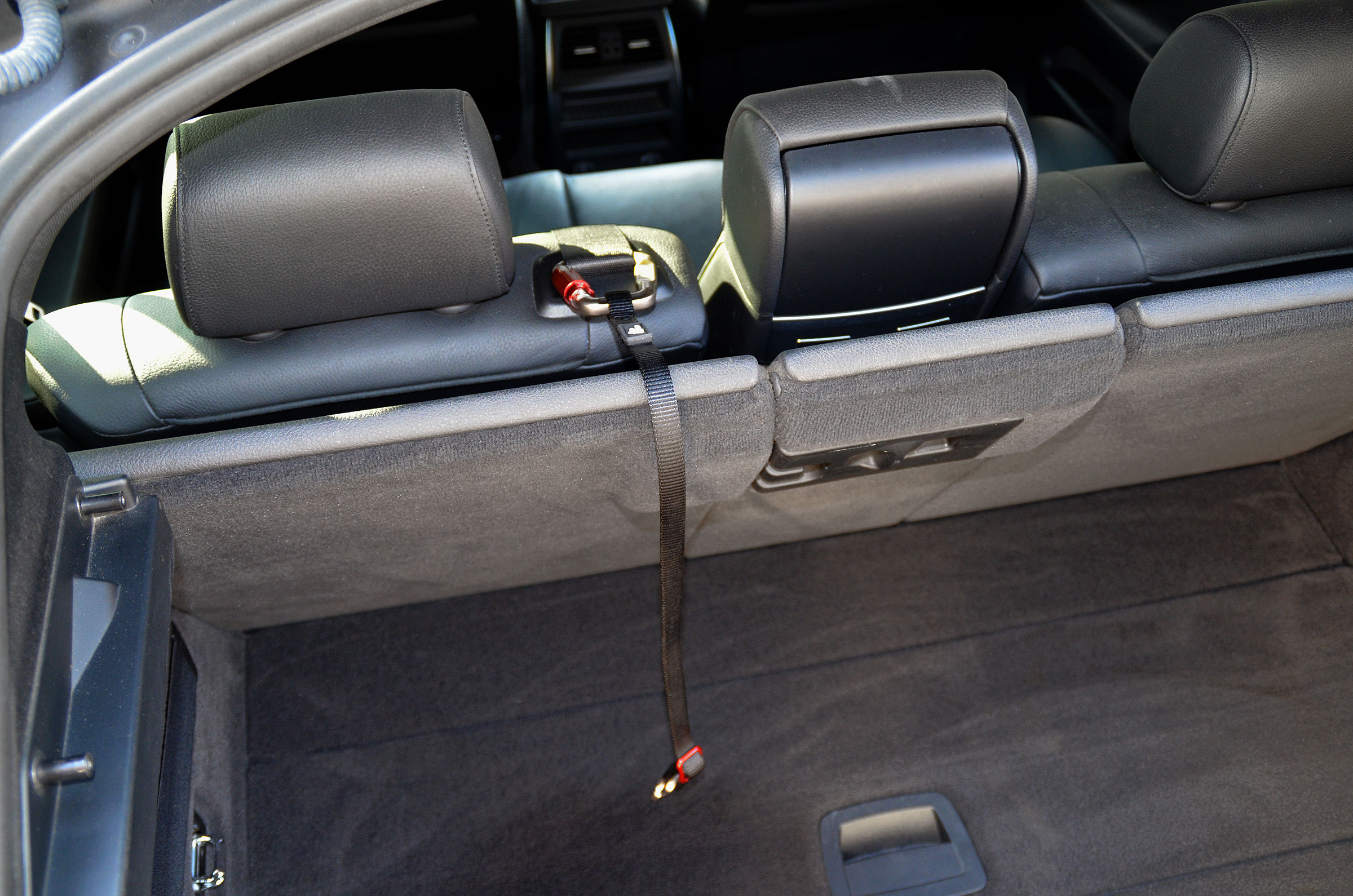 Curli Auto Sicherungsgurt V2