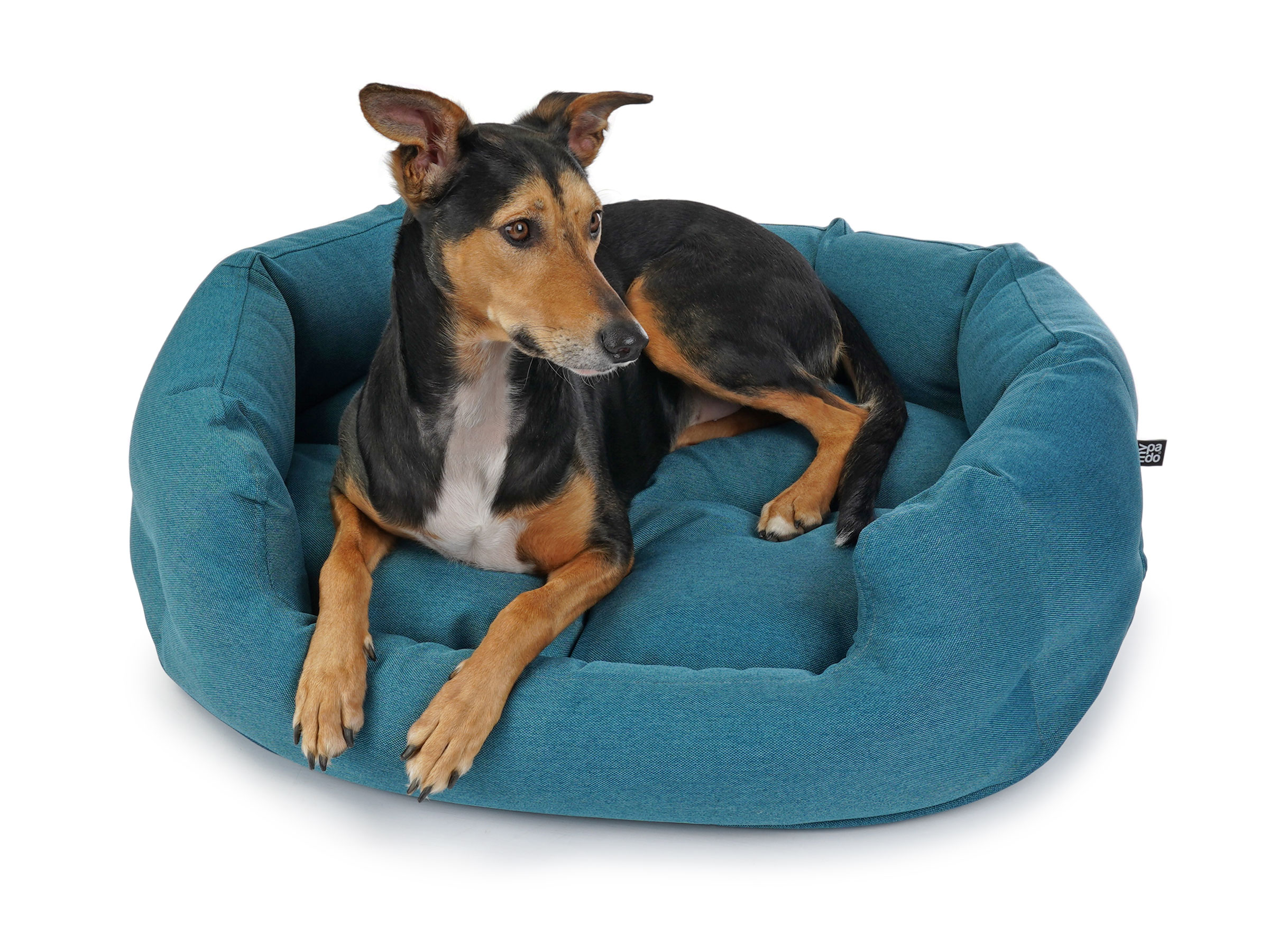mypado Fancy Mono Dog Bed